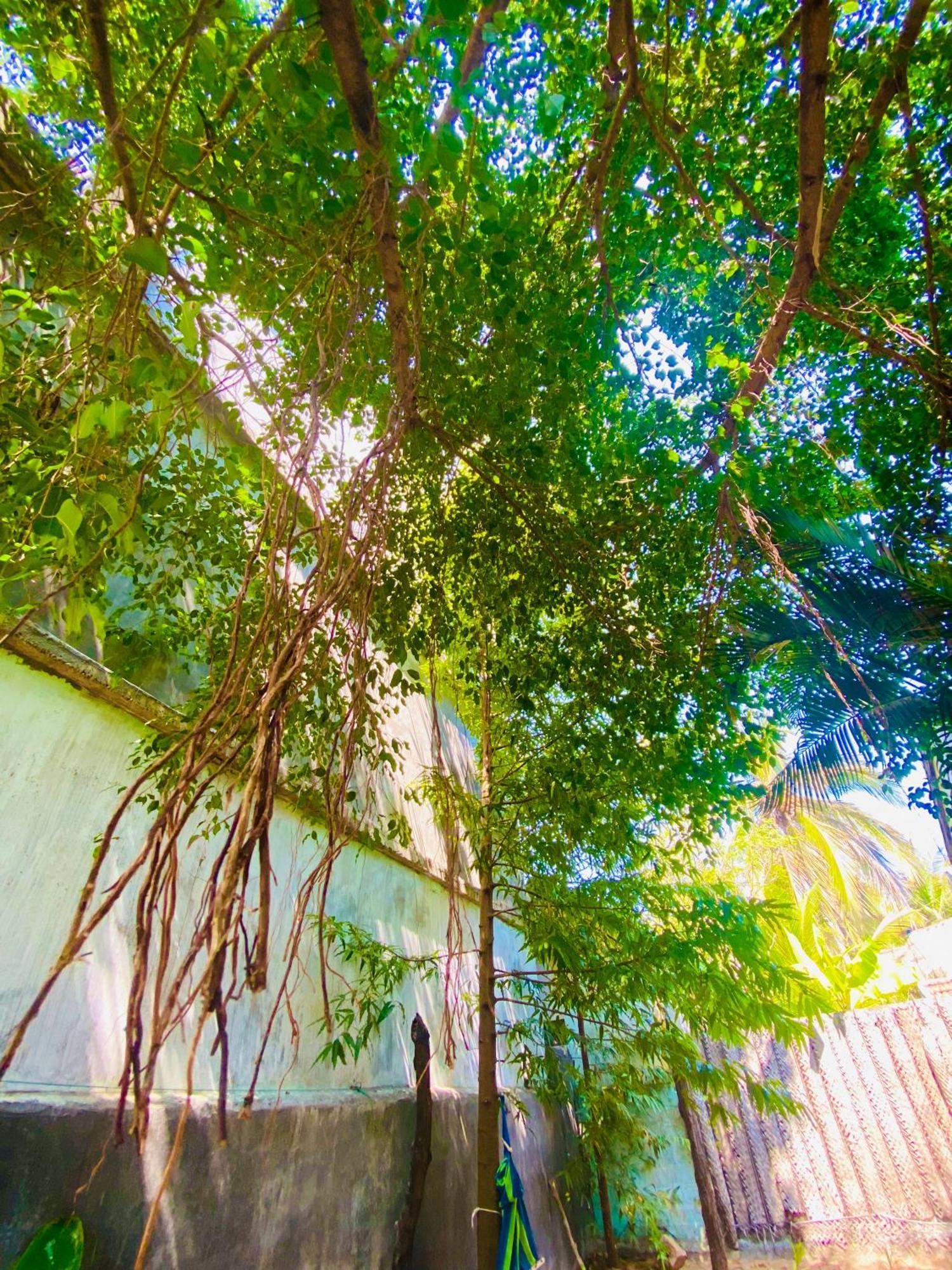 Marina Way Hotel Vịnh Arugam Ngoại thất bức ảnh